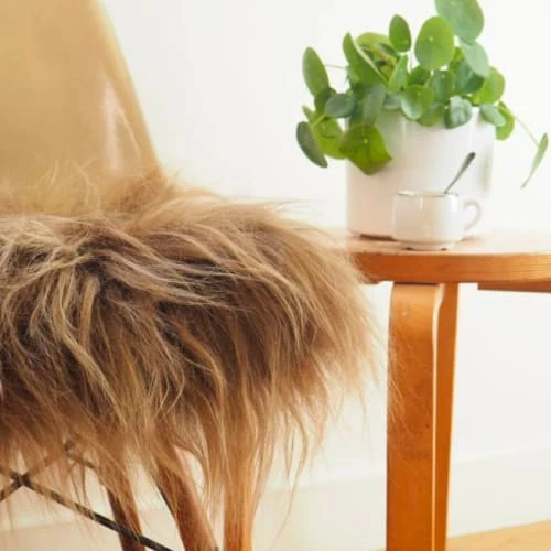 Maison Thuret Housses De Chaises Et Galettes De Chaises Galette De Chaise En Peau De Mouton Islandais Marron 37 X 37 Cm – Image 2